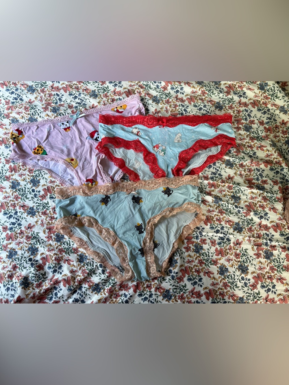 3-Pack Women's Light Blue, Lavender & Pale Blue Lace-Trim Cotton Briefs